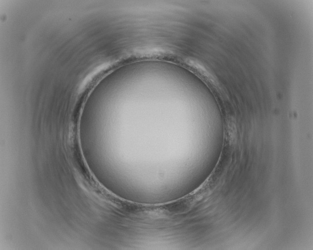 X0000070420583200606302103