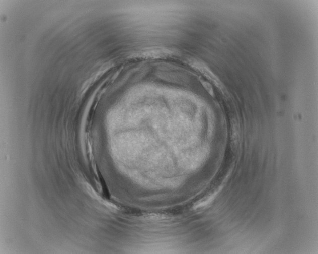 X0000070420585200606302103