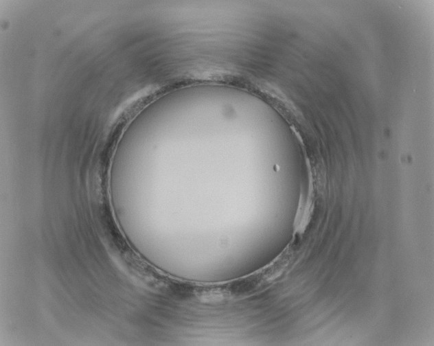 X0000070420587200606302103