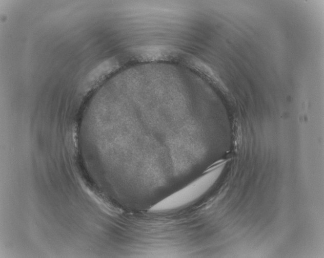 X0000070420590200606302103