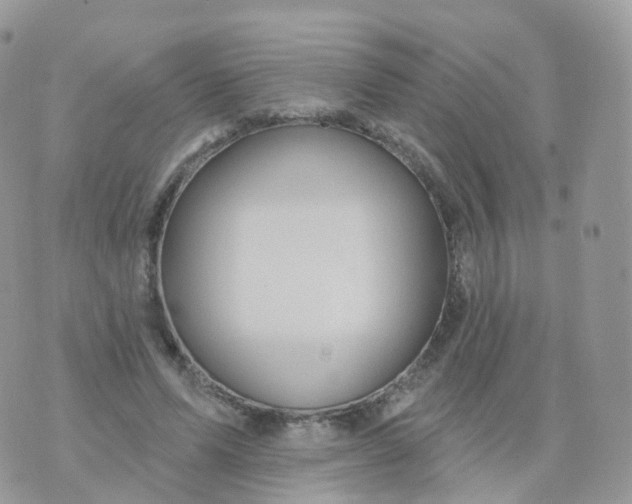 X0000070420591200606302103