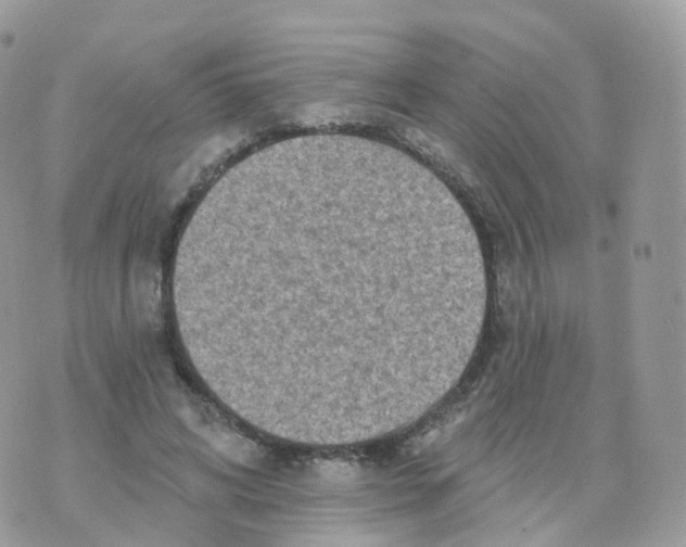 X0000070420592200606302103