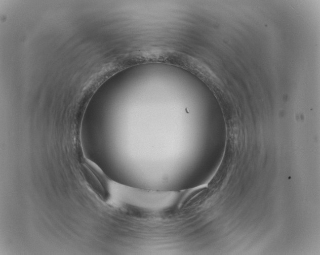 X0000070420593200606302103