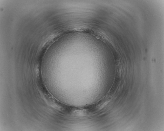 X0000070420595200606302103