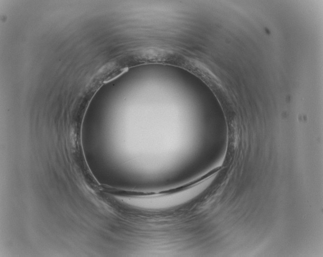 X0000070420597200606302103