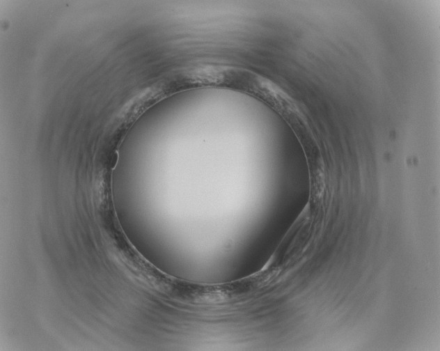 X0000070420600200606302103