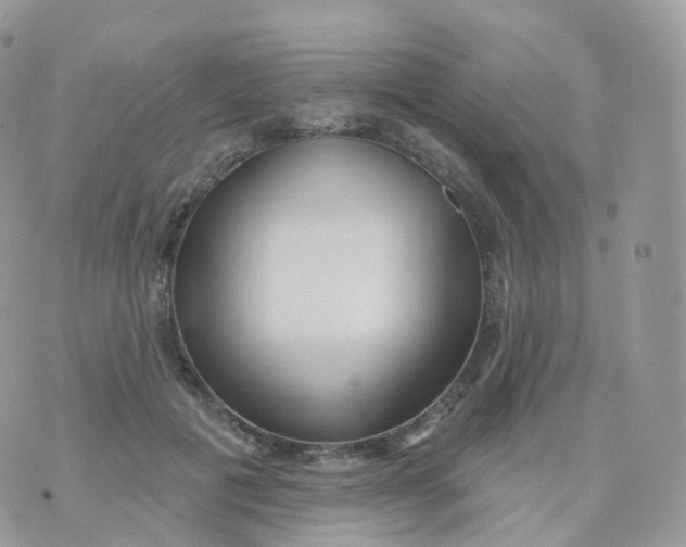 X0000070420601200606302103