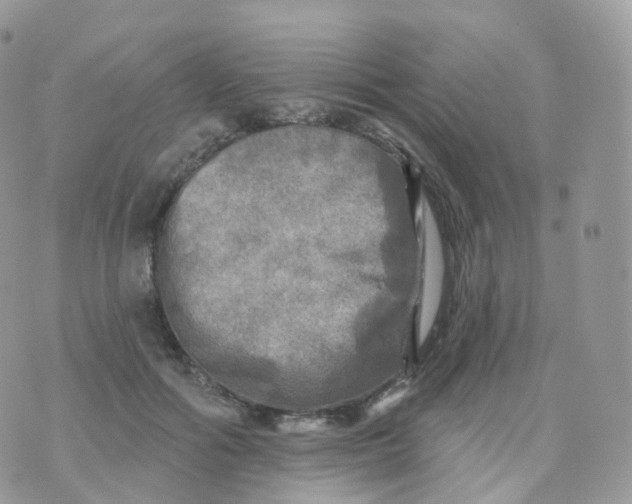 X0000070420602200606302103