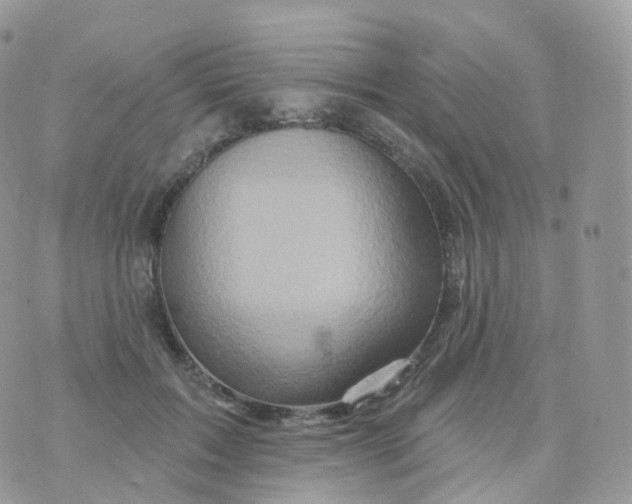 X0000070420603200606302103