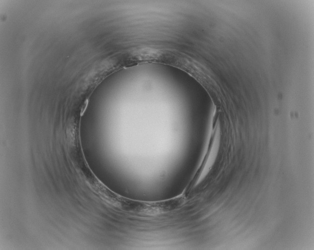 X0000070420604200606302103