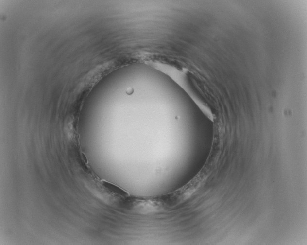 X0000070420611200606302103