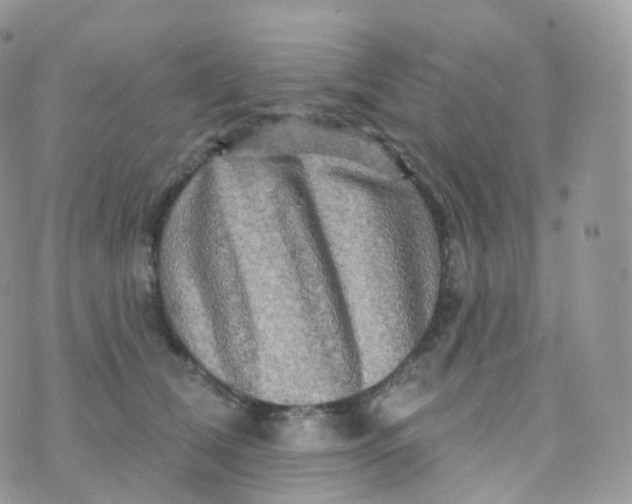 X0000070420612200606302103