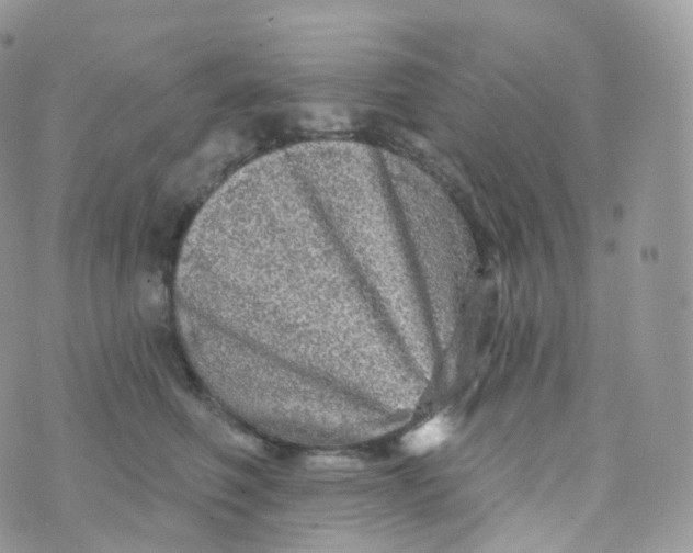 X0000070420614200606302103