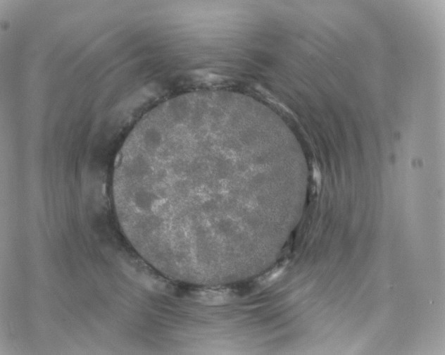 X0000070420615200606302103