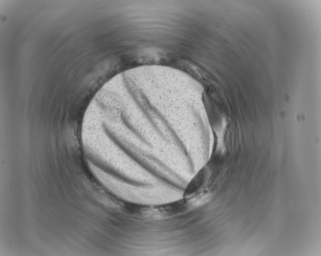 X0000070420616200606302103