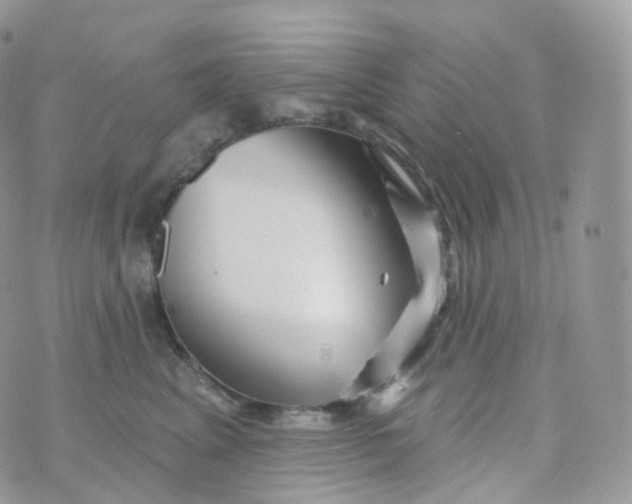 X0000070420617200606302103