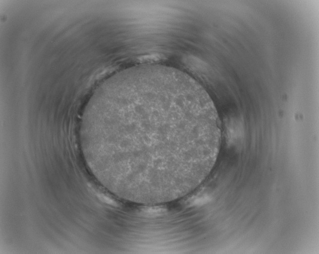 X0000070420619200606302103