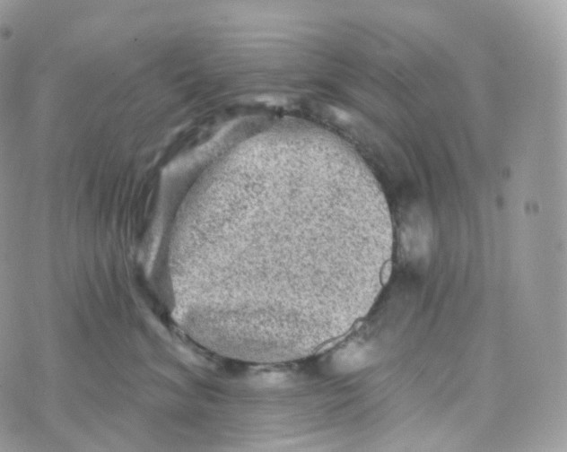 X0000070420620200606302103