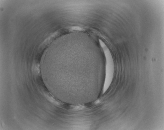 X0000070420621200606302103