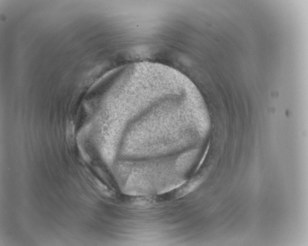 X0000070420624200606302103