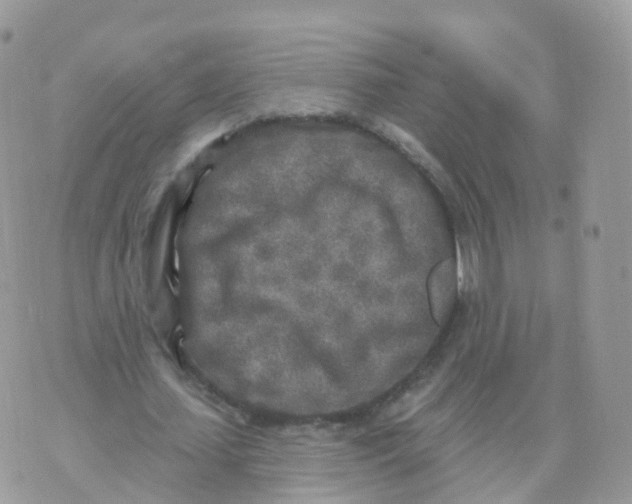 X0000070420627200606302102