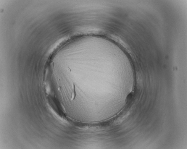 X0000070420629200606302102