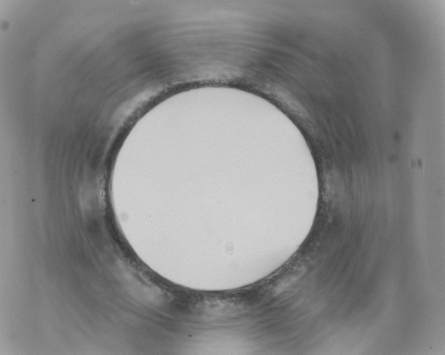 X0000070420632200606302102