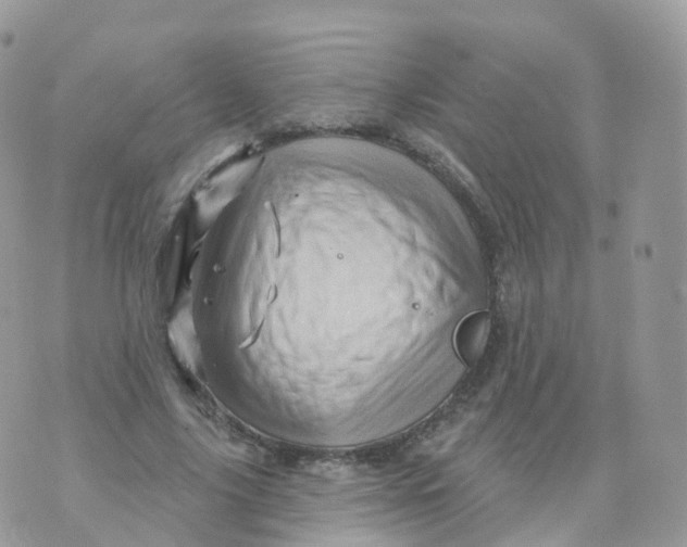 X0000070420635200606302102