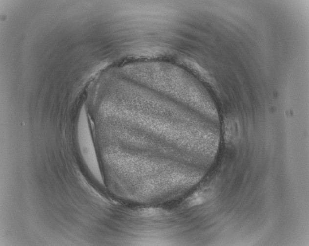 X0000070420637200606302102