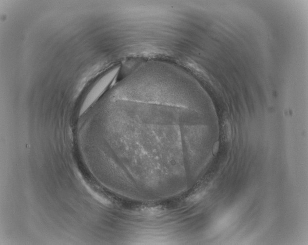 X0000070420638200606302102