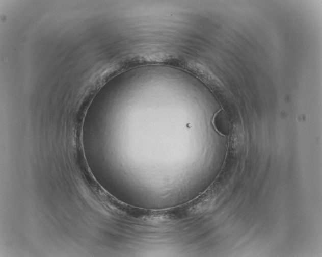 X0000070420639200606302102