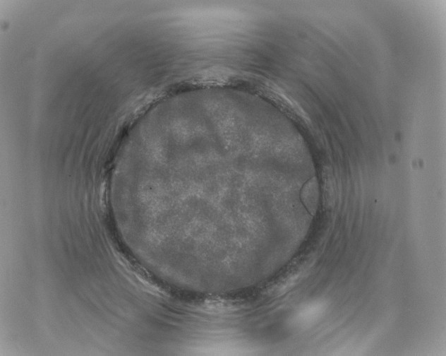 X0000070420641200606302102