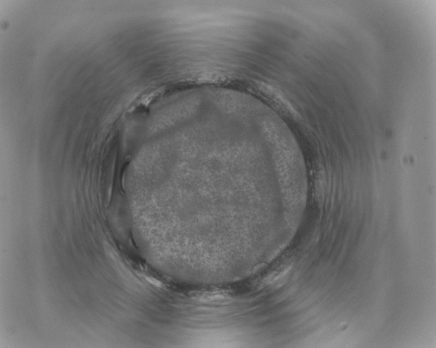 X0000070420643200606302102