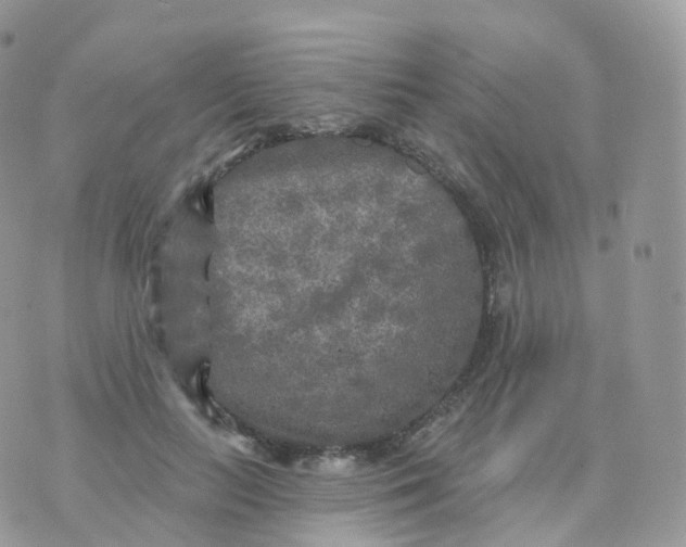 X0000070420647200606302102