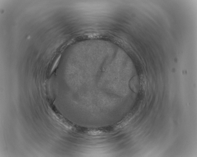 X0000070420650200606302102