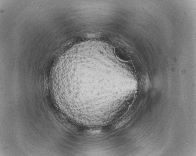 X0000070420651200606302102