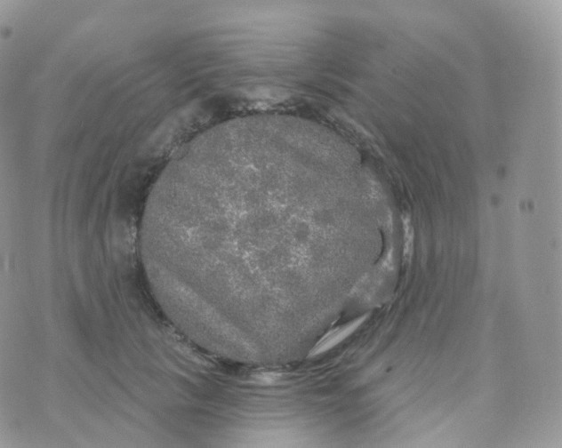 X0000070420657200606302102