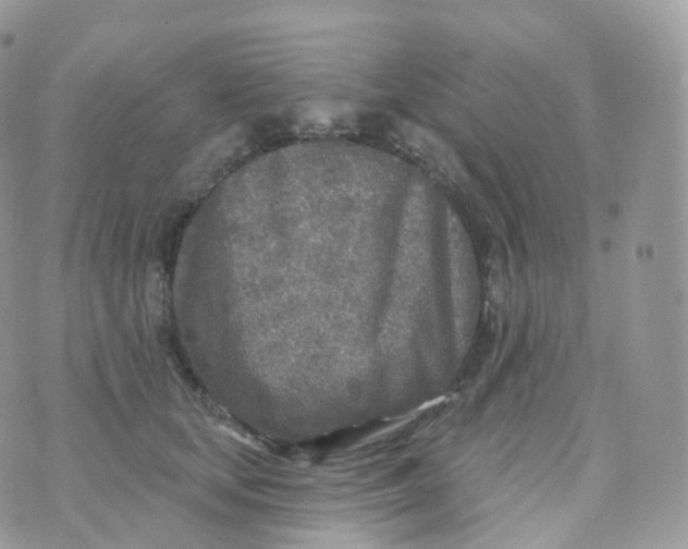 X0000070420659200606302102