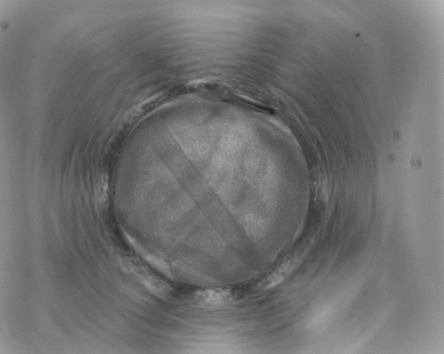 X0000070420660200606302102