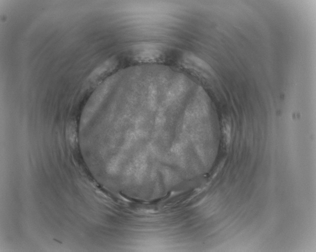 X0000070420665200606302102