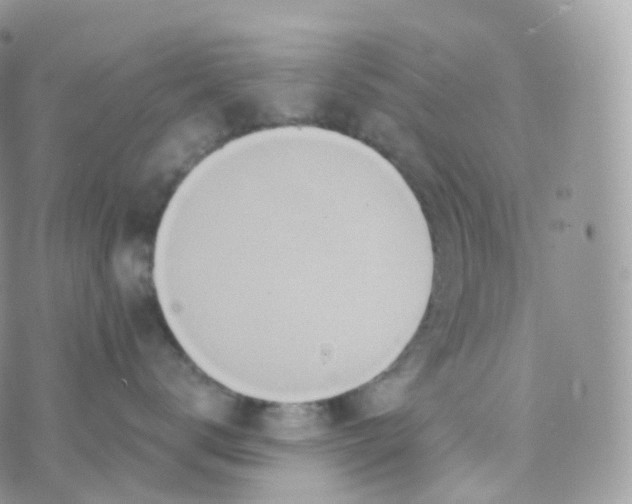 X0000070420672200606302103