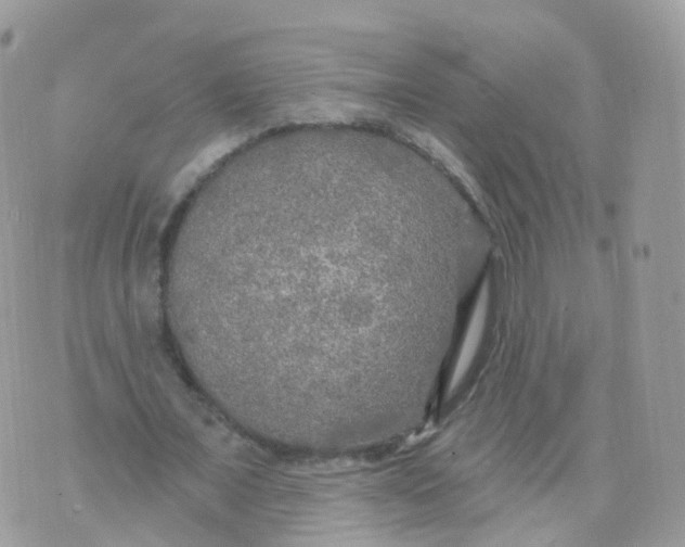 X0000070420675200606302102