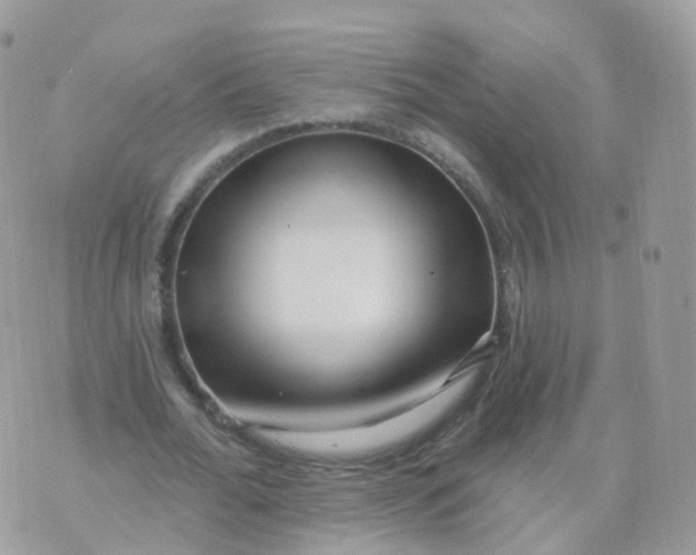 X0000070420676200606302102