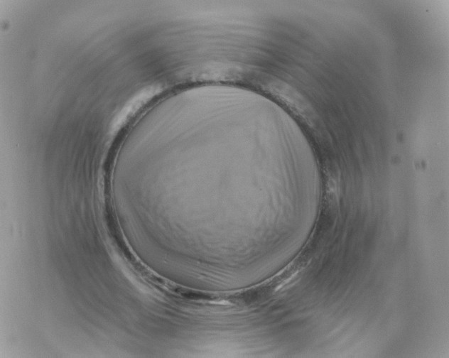 X0000070420678200606302102