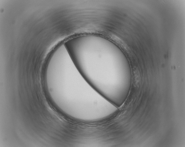 X0000070420680200606302102