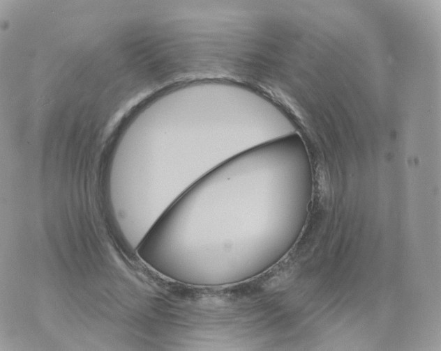 X0000070420684200606302102