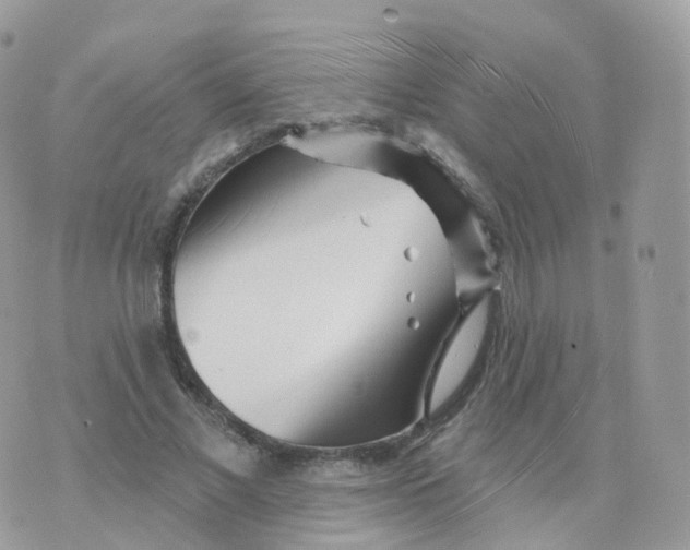 X0000070420685200606302102