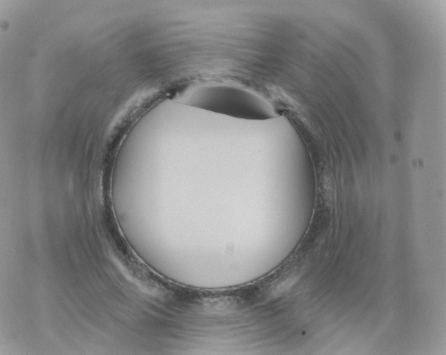 X0000070420686200606302101