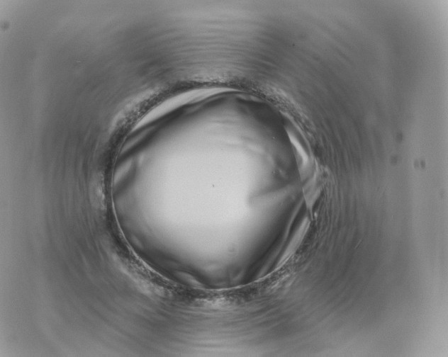 X0000070420688200606302101