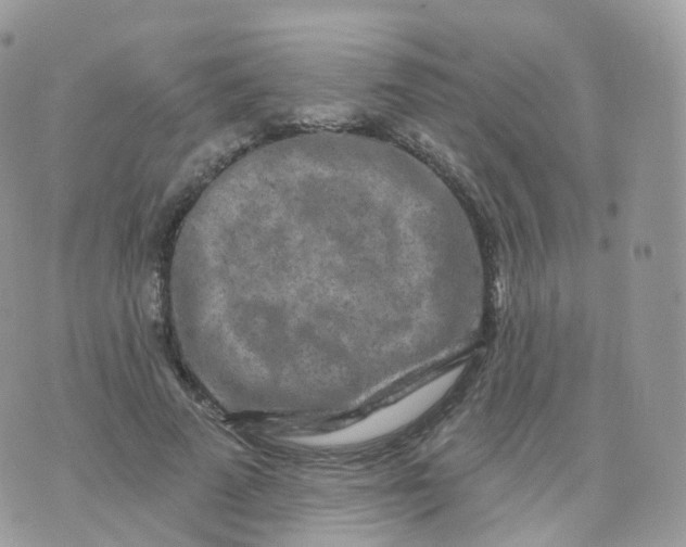 X0000070420689200606302101